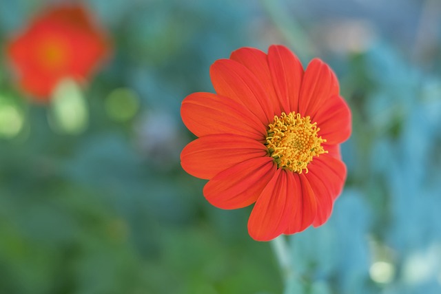 孙颖莎王楚钦赛前训练气氛轻松，大头仰头大笑，大笑引发全场欢笑